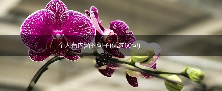 个人有内涵的句子(优选60句),第1张
