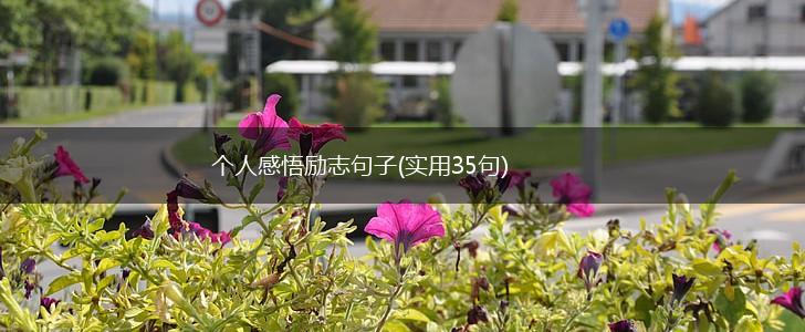 个人感悟励志句子(实用35句),第1张