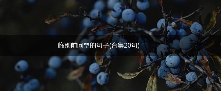 临别前回望的句子(合集20句),第1张