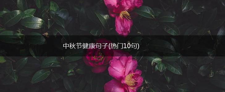 中秋节健康句子(热门10句),第1张