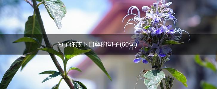 为了你放下自尊的句子(60句),第1张