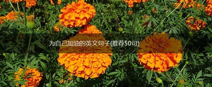 为自己加油的英文句子(推荐50句),第1张