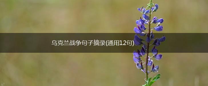 乌克兰战争句子摘录(通用12句),第1张