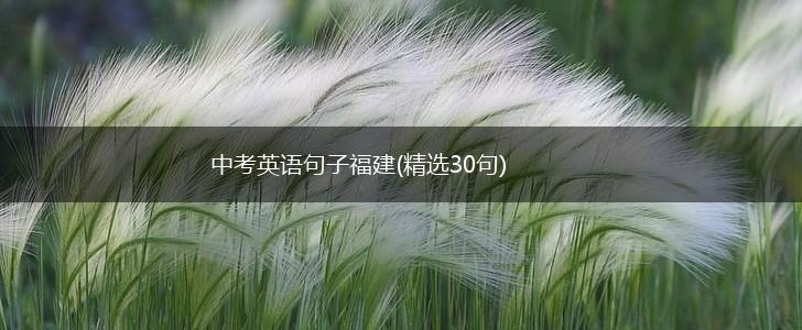 中考英语句子福建(精选30句),第1张