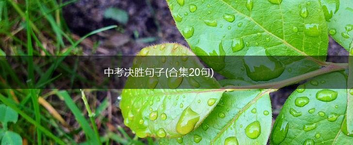 中考决胜句子(合集20句),第1张