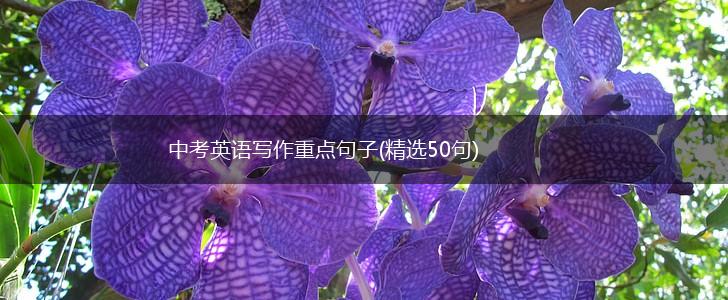 中考英语写作重点句子(精选50句),第1张