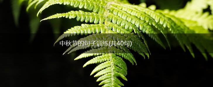 中秋节的句子训练(共40句),第1张