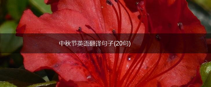 中秋节英语翻译句子(20句),第1张