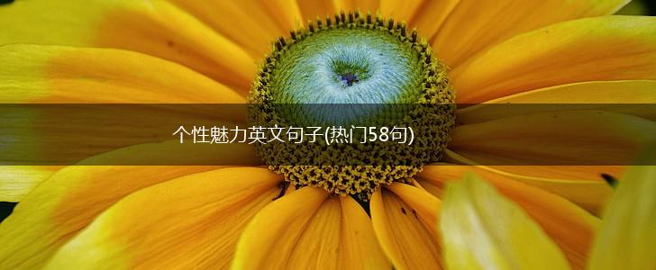 个性魅力英文句子(热门58句),第1张