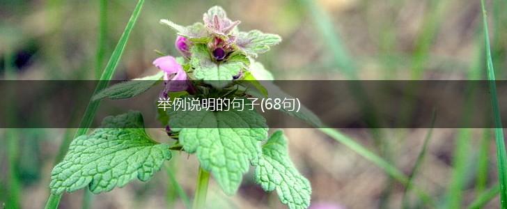 举例说明的句子(68句),第1张