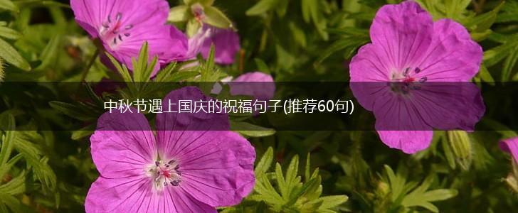 中秋节遇上国庆的祝福句子(推荐60句),第1张