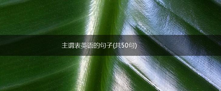 主谓表英语的句子(共50句),第1张