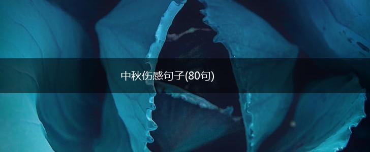 中秋伤感句子(80句),第1张