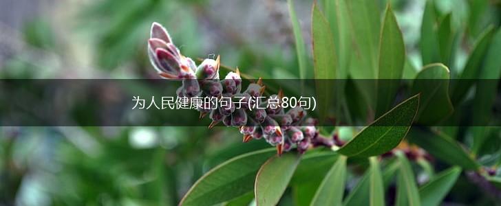 为人民健康的句子(汇总80句),第1张