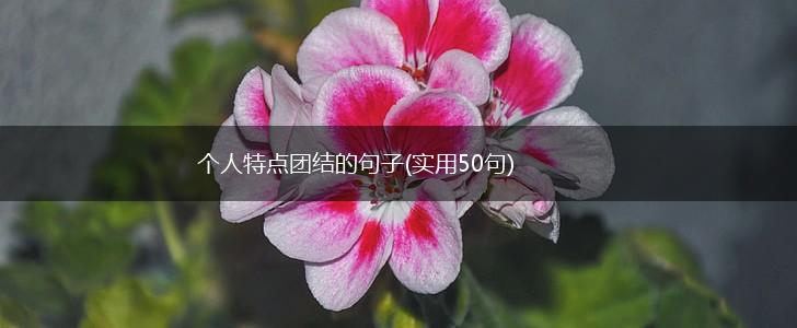 个人特点团结的句子(实用50句),第1张