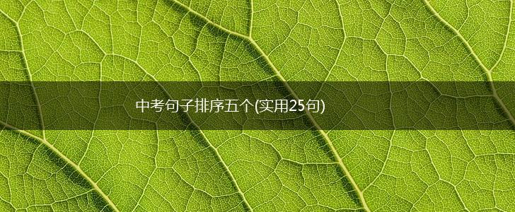 中考句子排序五个(实用25句),第1张