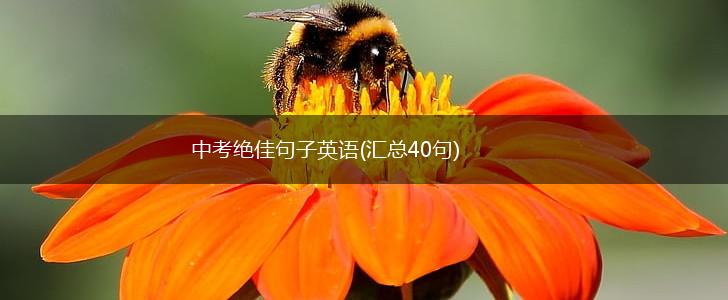 中考绝佳句子英语(汇总40句),第1张
