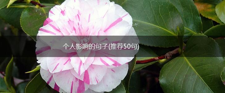 个人影响的句子(推荐50句),第1张