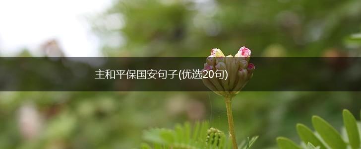 主和平保国安句子(优选20句),第1张
