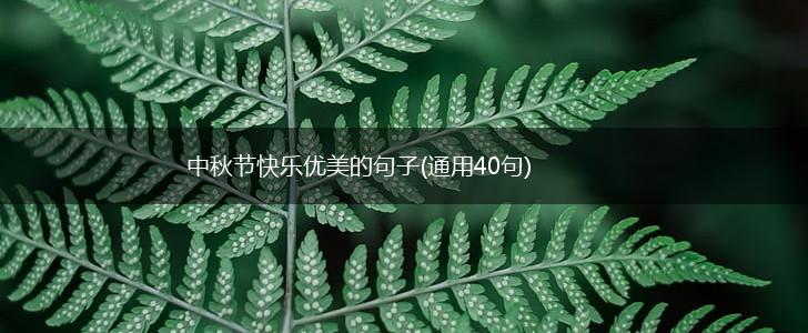 中秋节快乐优美的句子(通用40句),第1张
