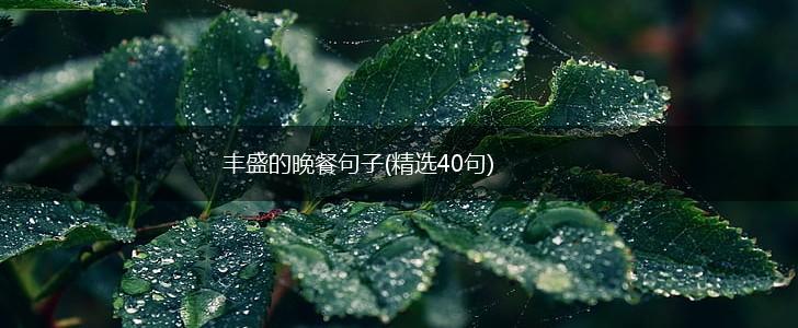 丰盛的晚餐句子(精选40句),第1张