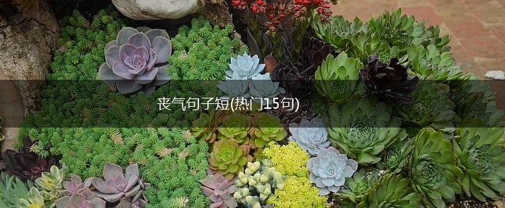 丧气句子短(热门15句),第1张