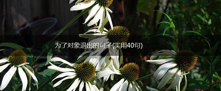 为了对象退出的句子(实用40句),第1张