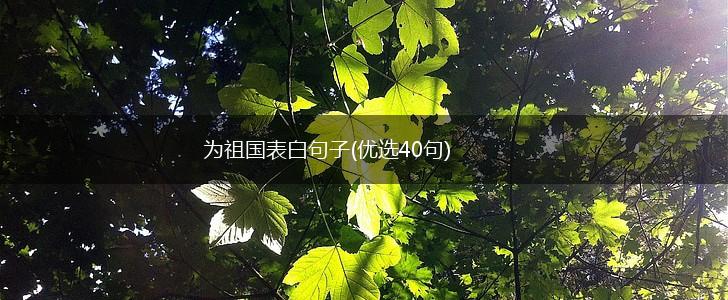 为祖国表白句子(优选40句),第1张