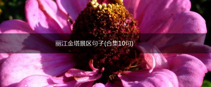 丽江金塔景区句子(合集10句),第1张