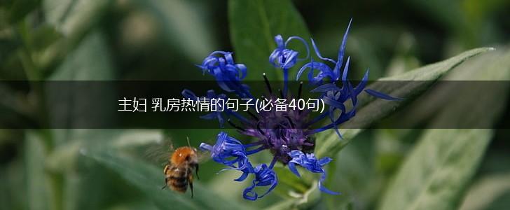 主妇 乳房热情的句子(必备40句),第1张