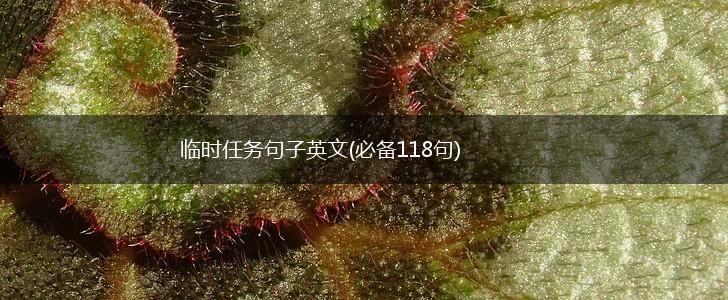 临时任务句子英文(必备118句),第1张