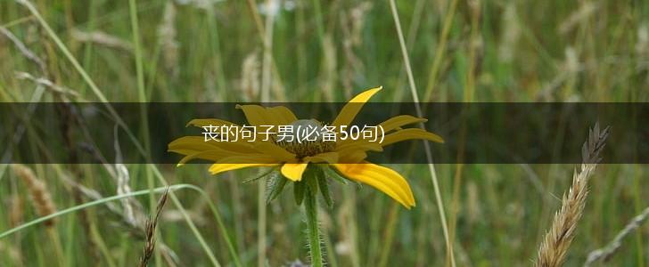 丧的句子男(必备50句),第1张