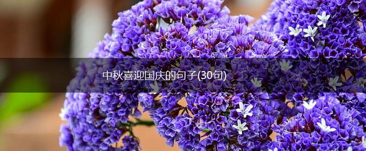 中秋喜迎国庆的句子(30句),第1张
