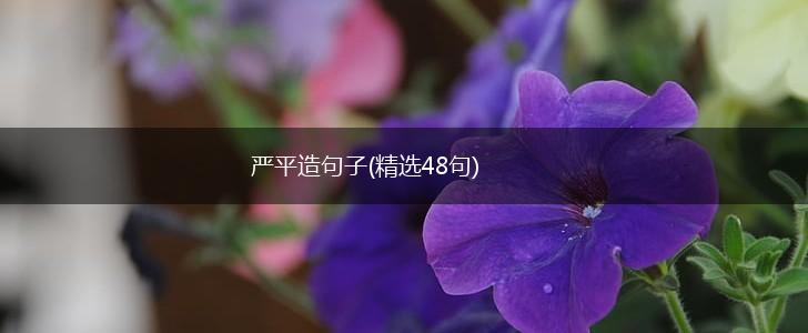 严平造句子(精选48句),第1张