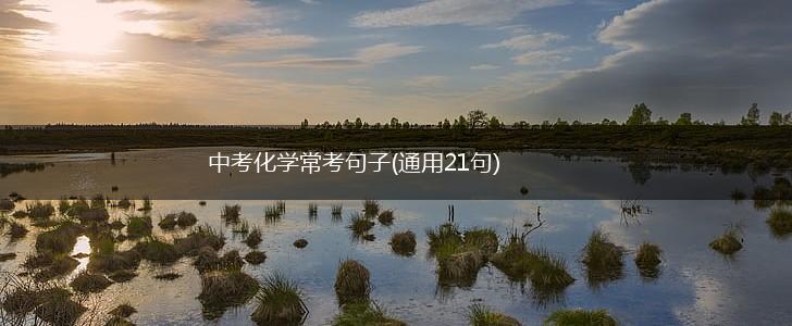 中考化学常考句子(通用21句),第1张