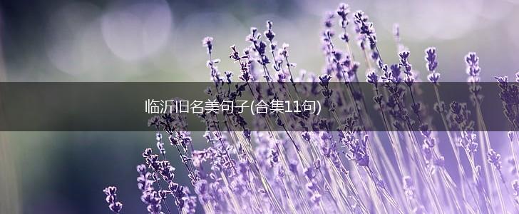 临沂旧名美句子(合集11句),第1张