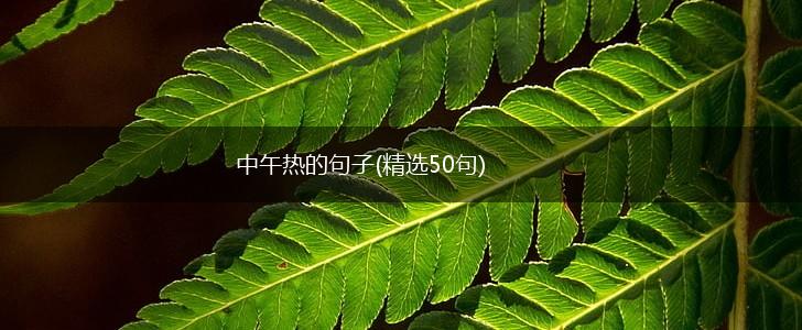 中午热的句子(精选50句),第1张