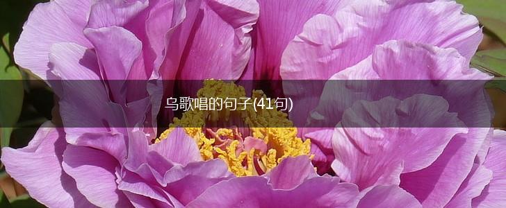 乌歌唱的句子(41句),第1张