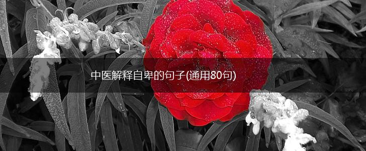 中医解释自卑的句子(通用80句),第1张