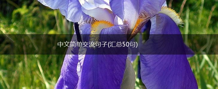 中文简单交流句子(汇总50句),第1张
