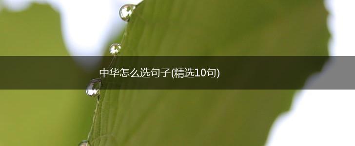 中华怎么选句子(精选10句),第1张