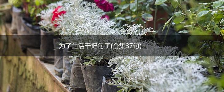 为了生活干把句子(合集37句),第1张