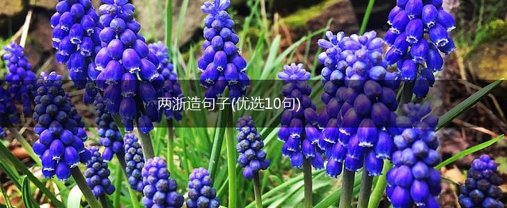 两浙造句子(优选10句),第1张