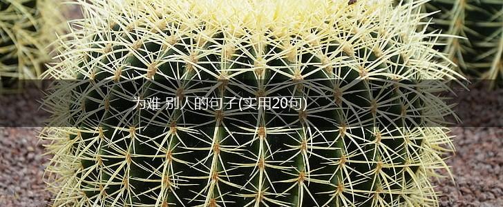 为难 别人的句子(实用20句),第1张