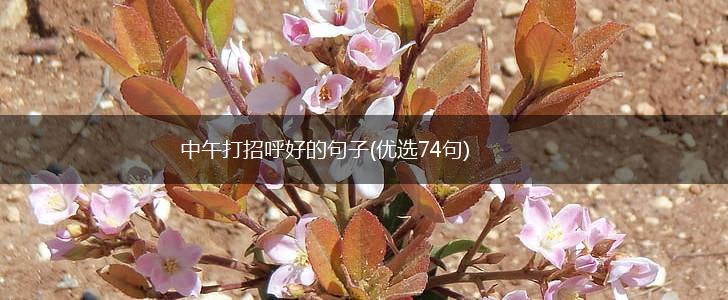 中午打招呼好的句子(优选74句),第1张