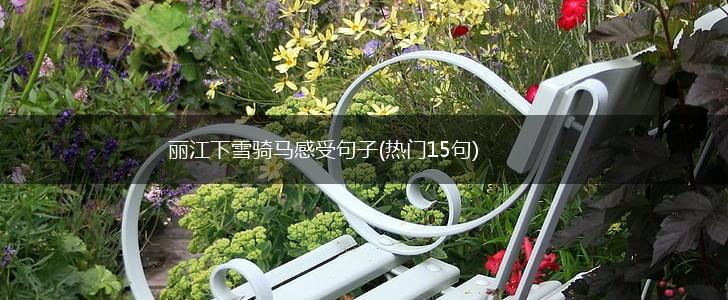 丽江下雪骑马感受句子(热门15句),第1张