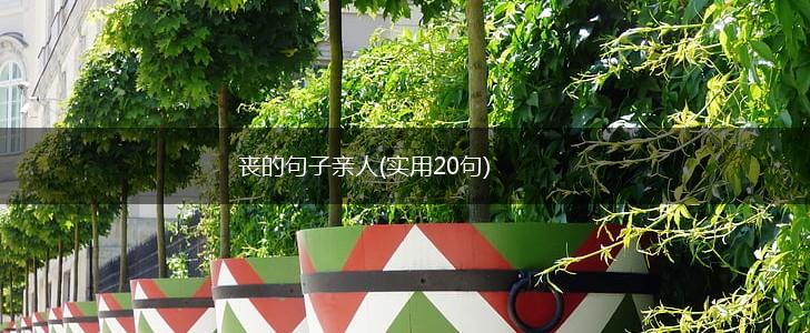 丧的句子亲人(实用20句),第1张