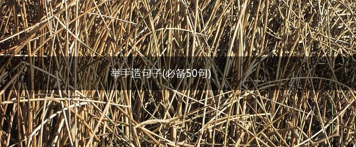 举手造句子(必备50句),第1张