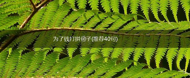 为了钱打拼句子(推荐40句),第1张