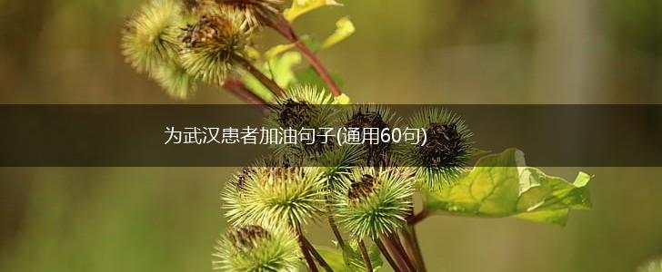 为武汉患者加油句子(通用60句),第1张